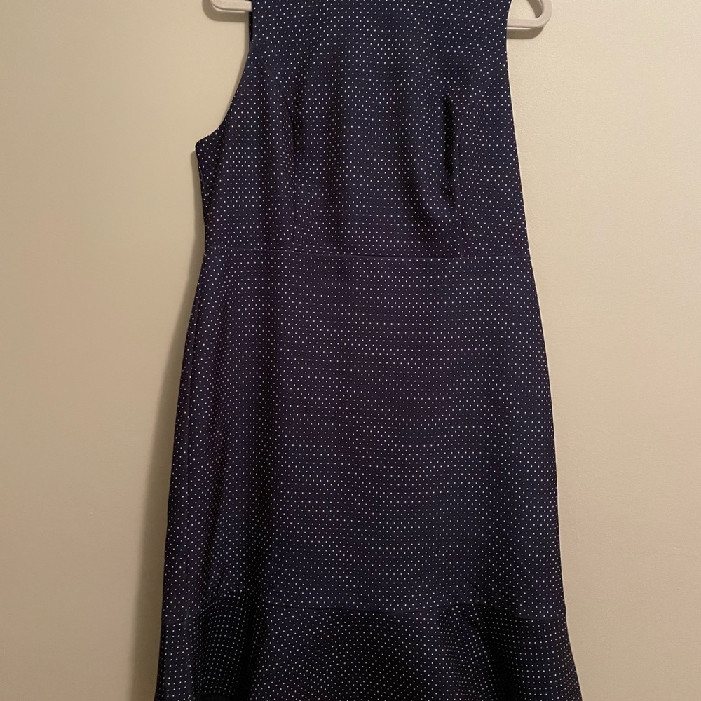 Blue with White Dot Dress